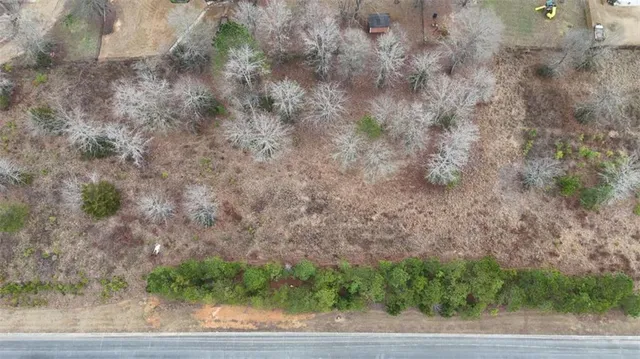 a view of a dry yard with trees
