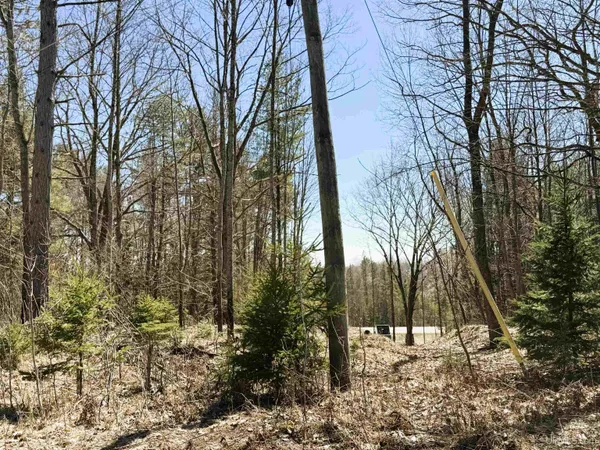 $79,900 | Tbd East Main Street, Unit AKA PARCEL 3, Vulcan, MI 49892