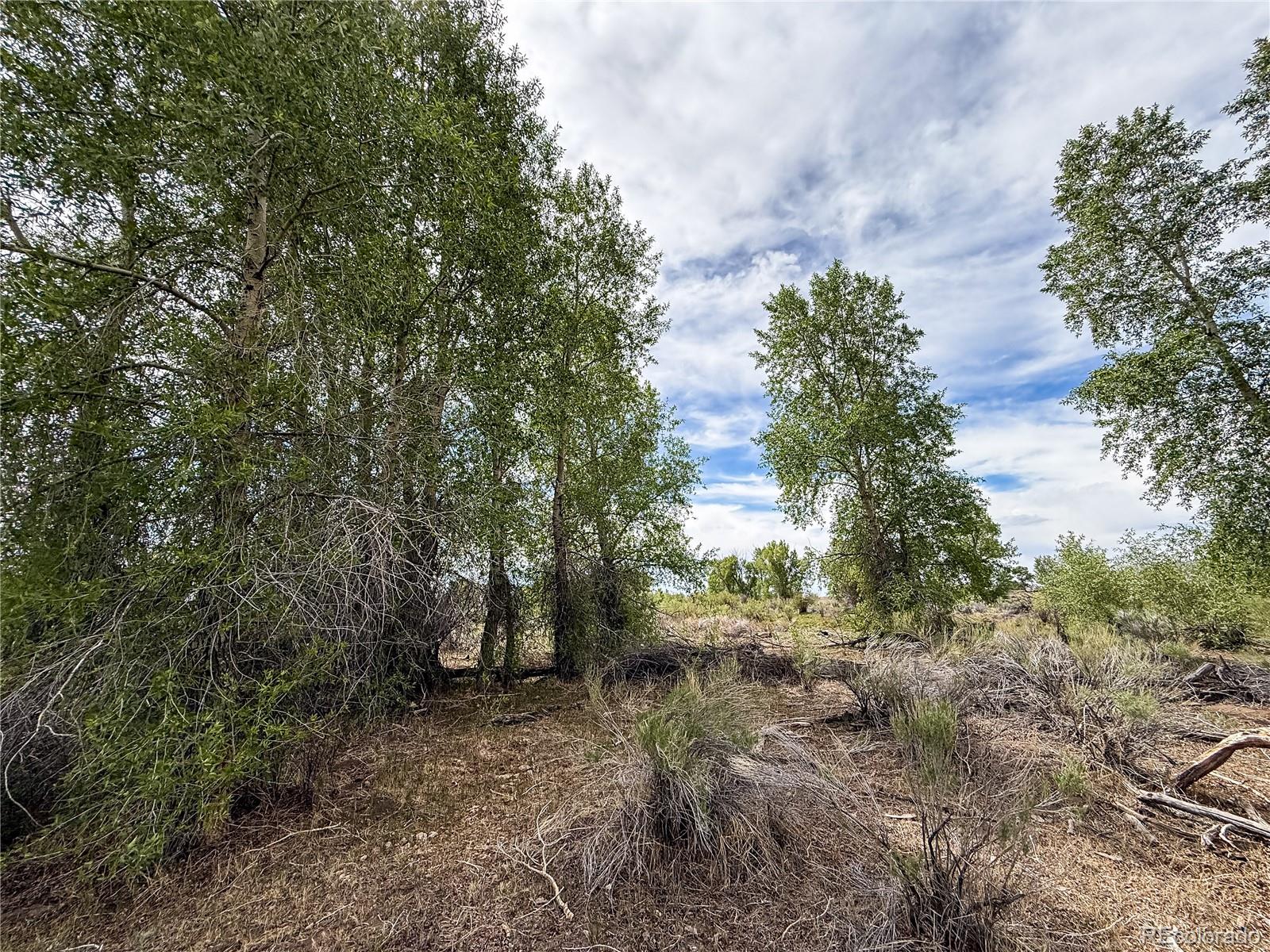 483 River Ranch Road Antonito, CO 81120 - Photo 22 of 36