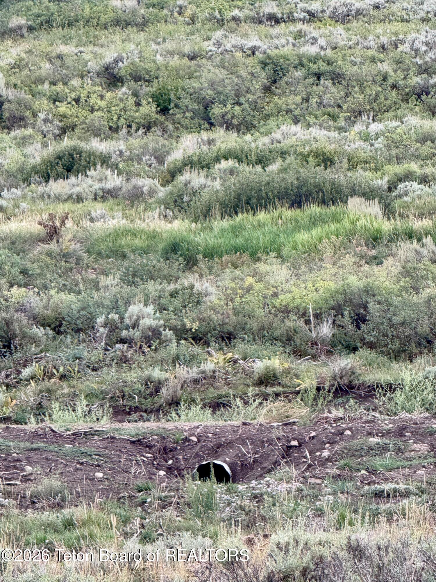 59 Aspen Ridge Road Daniel, WY 83115 - Photo 40 of 44 Culverts and French Drains