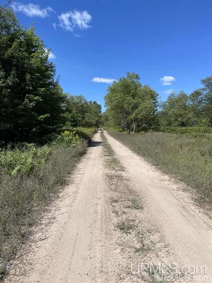 220 W Ford Lake Road Germfask, MI 49836 - Photo 10 of 26