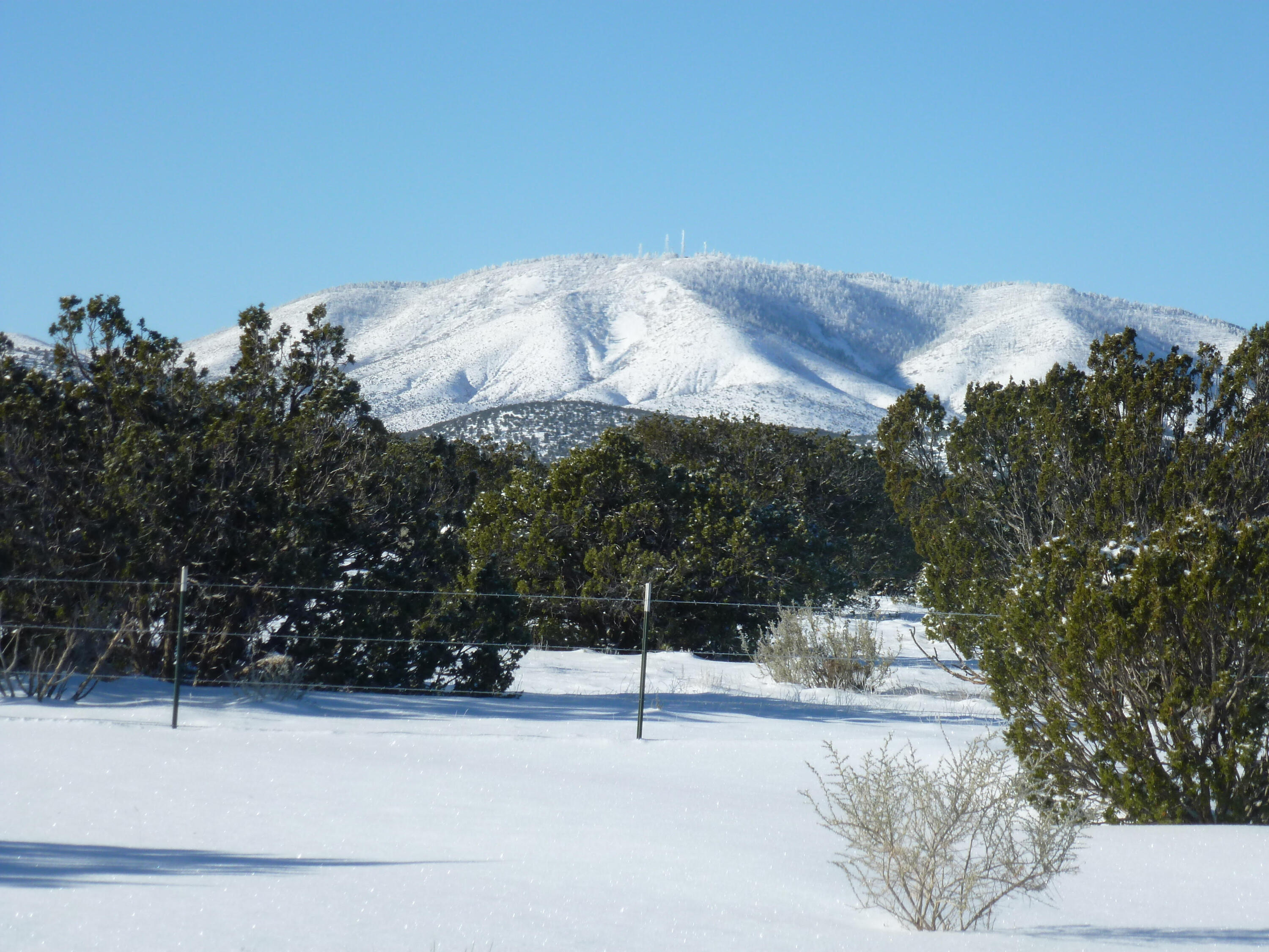12 Elk Road Corona, NM 88318 - Photo 3 of 69 Gallery Image 3
