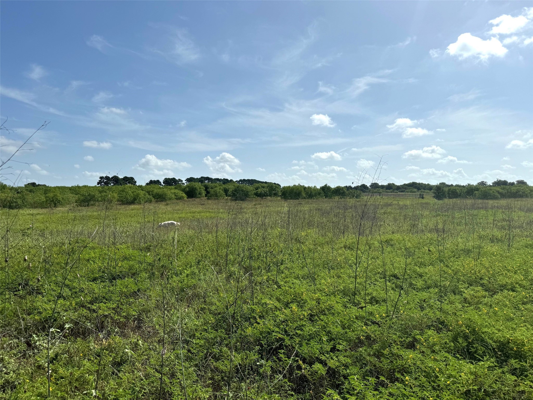 713 St Lockhart Tx 78644 Lockhart, TX 78644 - Photo 1 of 5