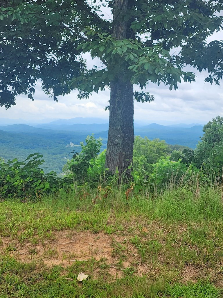 0 Vance Mountain Road Murphy, NC 28906 - Photo 13 of 15 Potential View