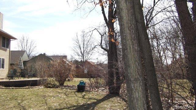 9074 Ravinewood Lane South Lyon, MI 48178 - Photo 19 of 19 Woods surrounding the back lot