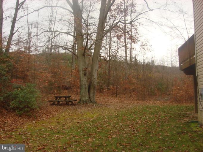 243 Decatur Road Stafford, VA 22554 - Photo 4 of 5 Back yard