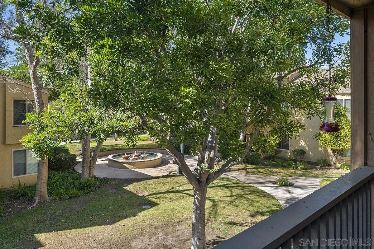 6006 Rancho Mission Road San Diego, CA 92108 - Photo 6 of 32 a view of a yard with plants and trees