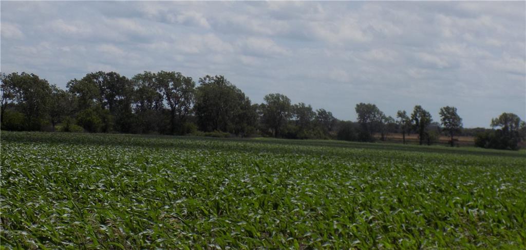 300 Road & Oregon Road Kincaid, KS 66039 - Photo 10 of 13