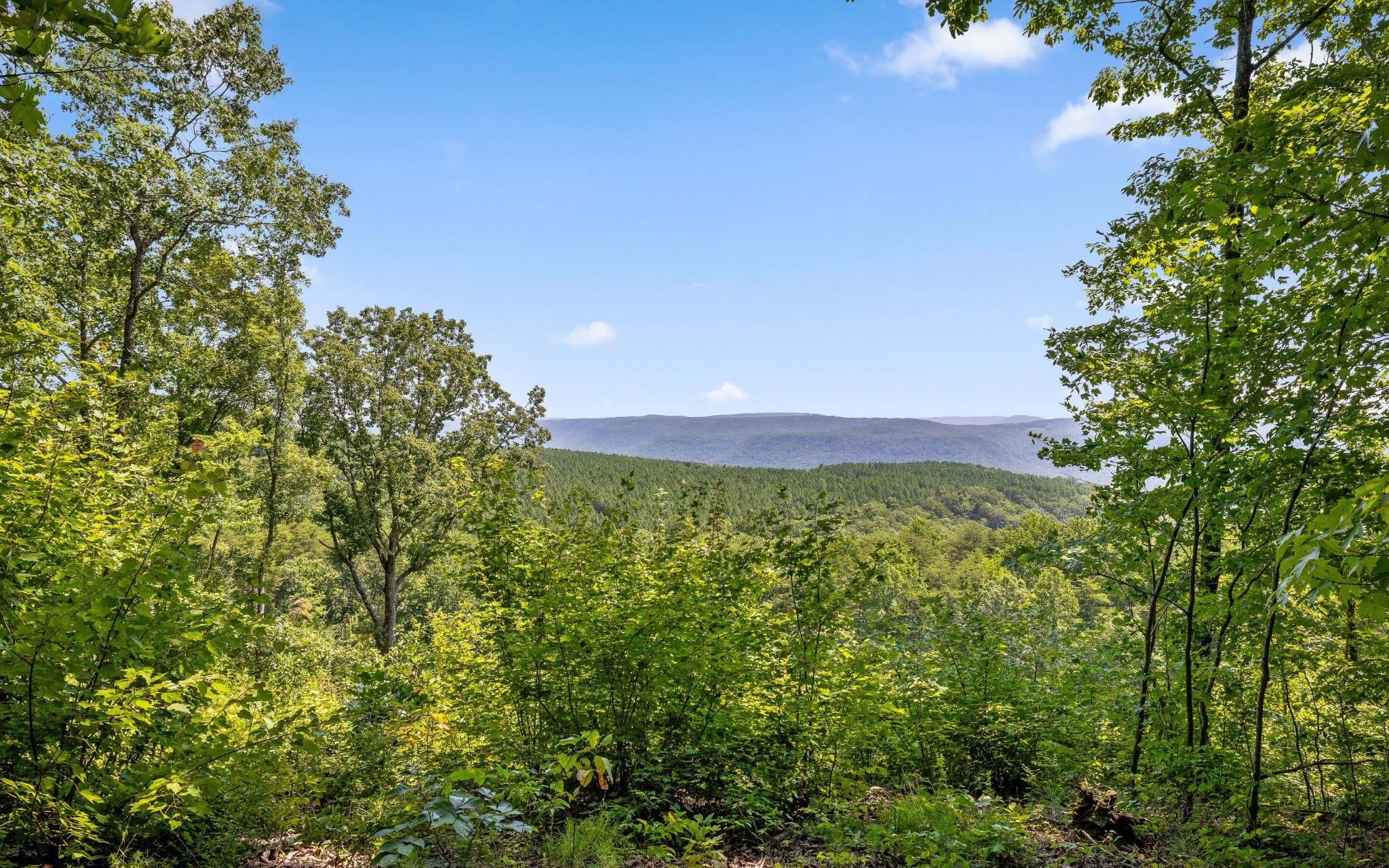 2225 High Ground Road Guild, TN 37340 - Photo 14 of 28 Gallery Image 14