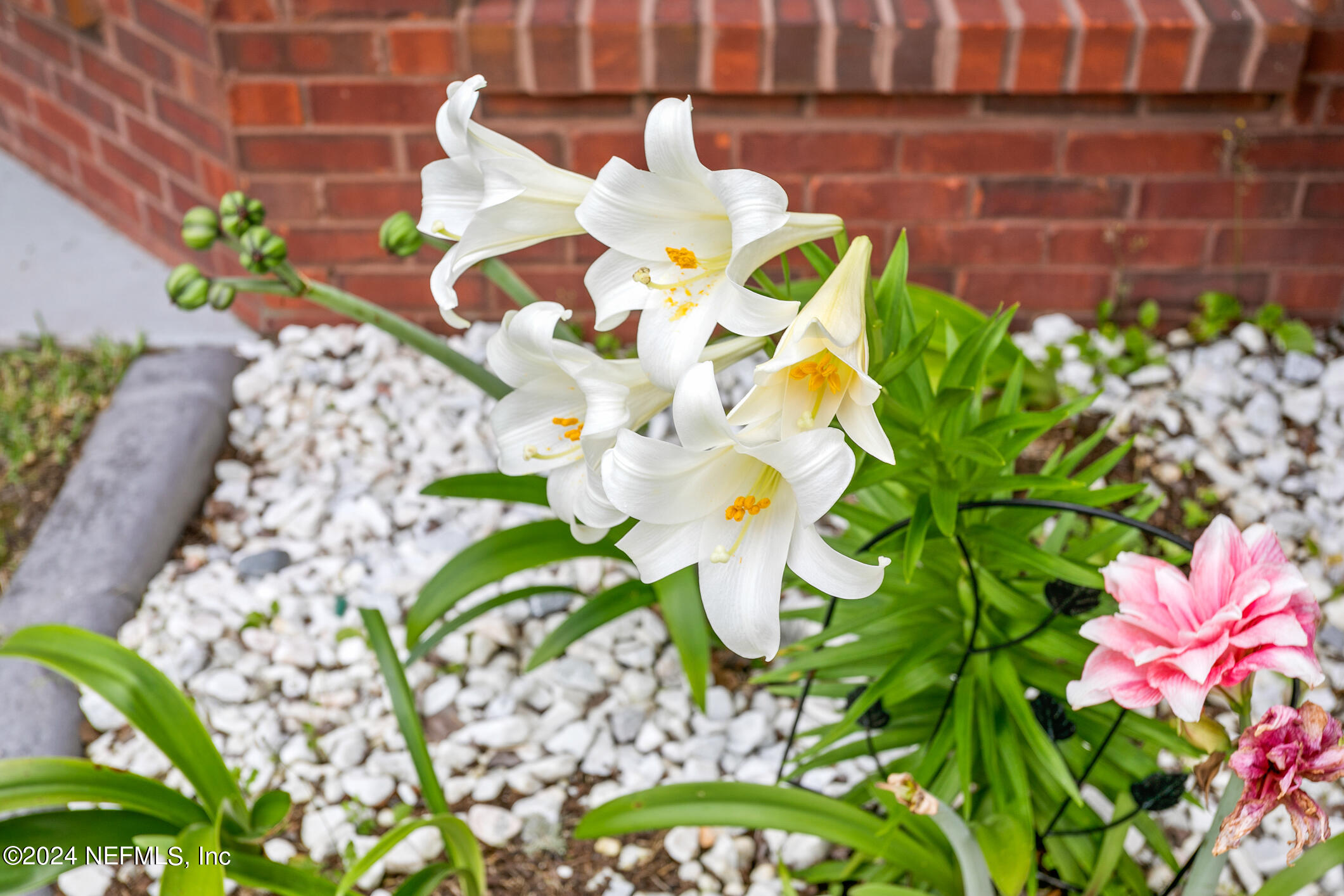 1658 Lockend Road Jacksonville, FL 32221 - Photo 52 of 54 a vase of flowers