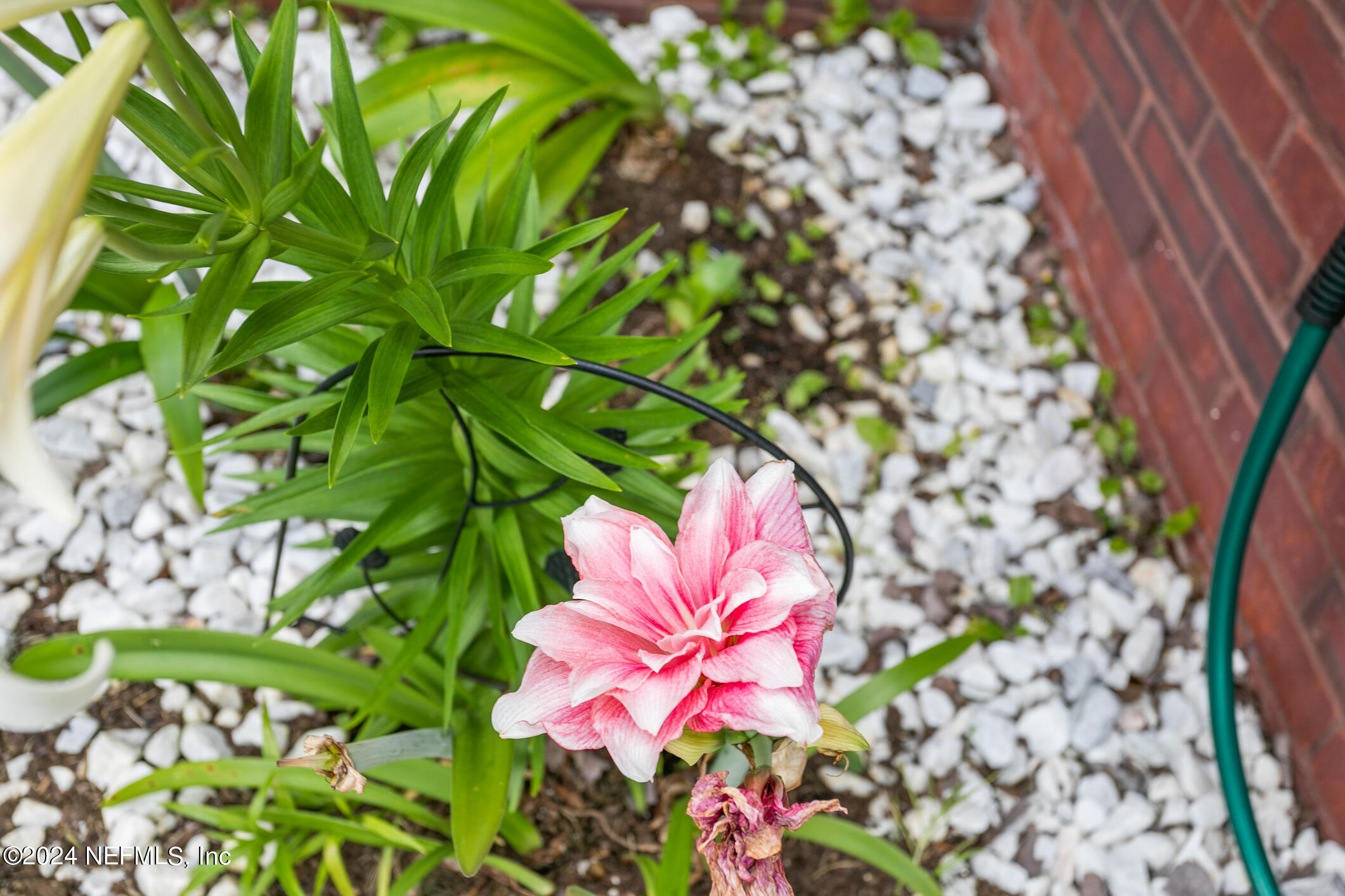 1658 Lockend Road Jacksonville, FL 32221 - Photo 53 of 54 Color