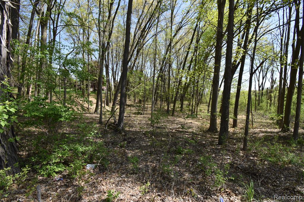 10146 Island Lake Road Dexter, MI 48130 - Photo 3 of 4