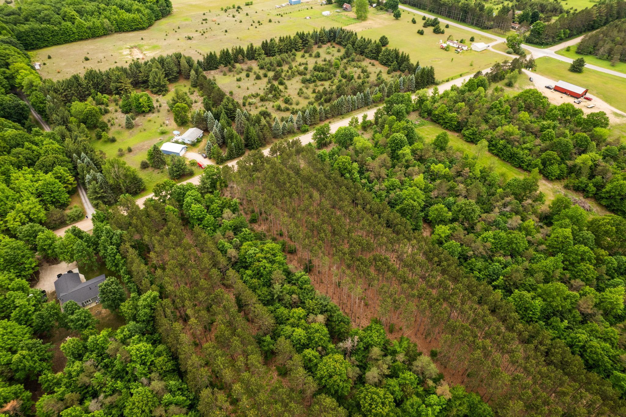 Parcel E St Johns Road Interlochen, MI 49643 - Photo 26 of 39