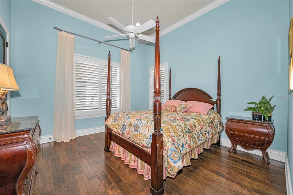10031 Milano Drive Trinity, FL 34655 - Photo 53 of 100