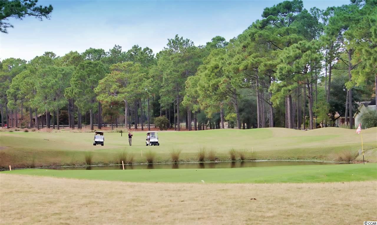 690 Kings Road Pawleys Island, SC 29585 - Photo 19 of 19 Gallery Image 19