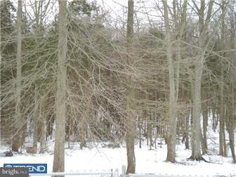 542 Alloway-Woodstown Road Mannington, NJ 08098 - Photo 12 of 12 Exterior Back