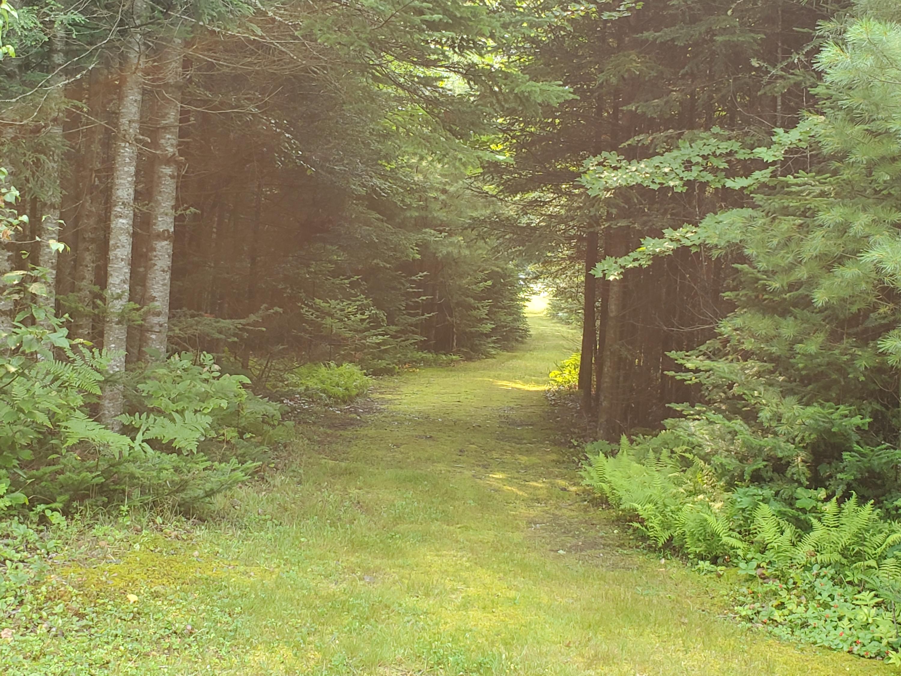 337 Fuller Corner Road Hartland, ME 04943 - Photo 34 of 34 20210726_101606