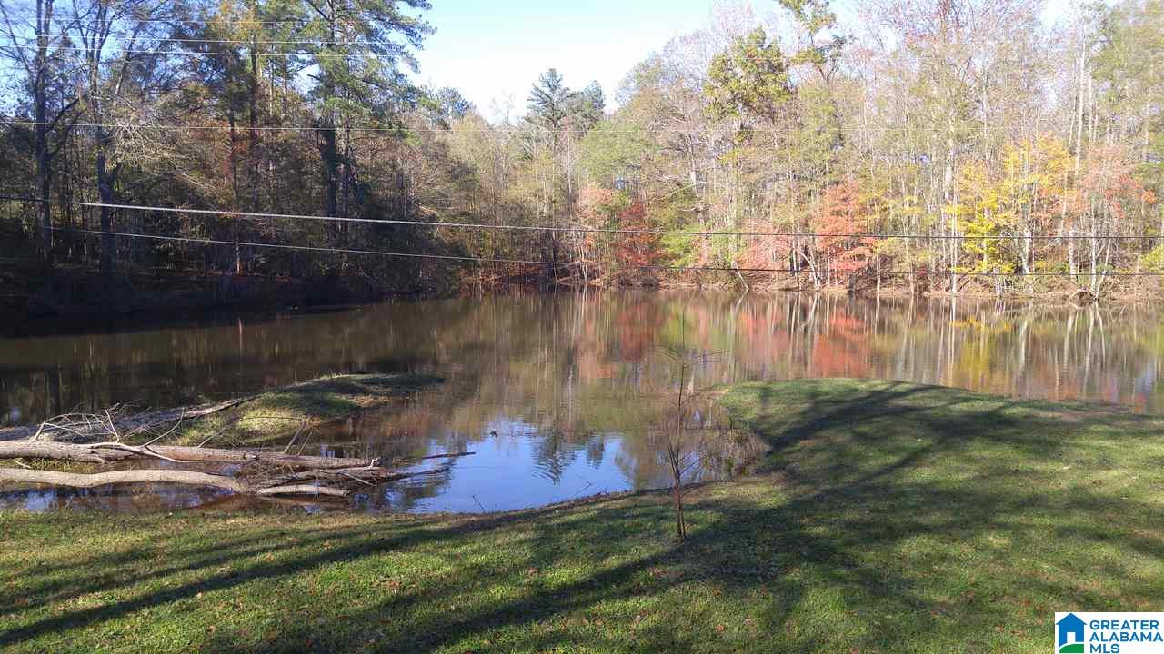 10468 Chelsea Road Chelsea, AL 35043 - Photo 2 of 23