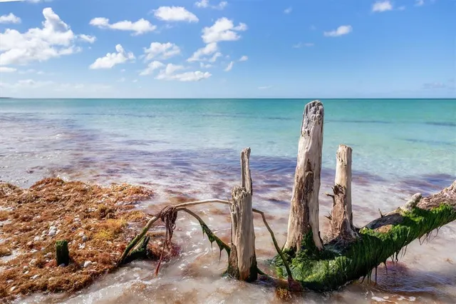 $8,500 | 9498 Alborado Road, Placida, FL 33946