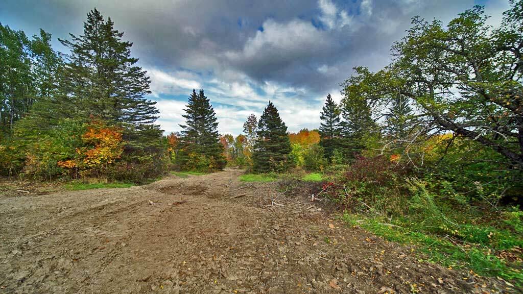 Lot 4 Green Road Houlton, ME 04730 - Photo 16 of 58 green-rd-hodgdon-maine-6