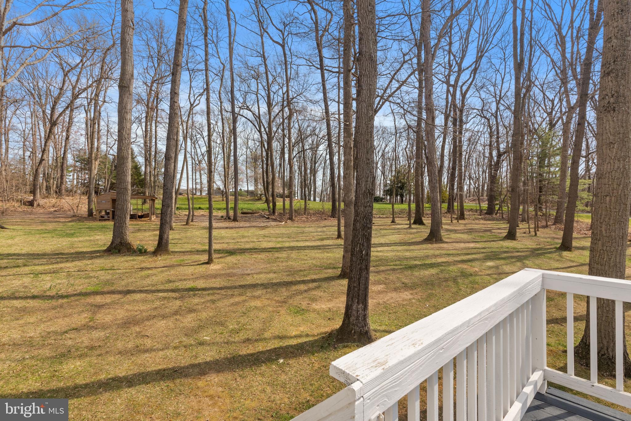 16203 Dark Hollow Road Upperco, MD 21155 - Photo 33 of 41 expansive yard backing to Dark Hollow Horse Farm
