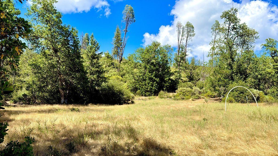 925 Kingsbury Road Hayfork, CA 96041 - Photo 14 of 21 K14