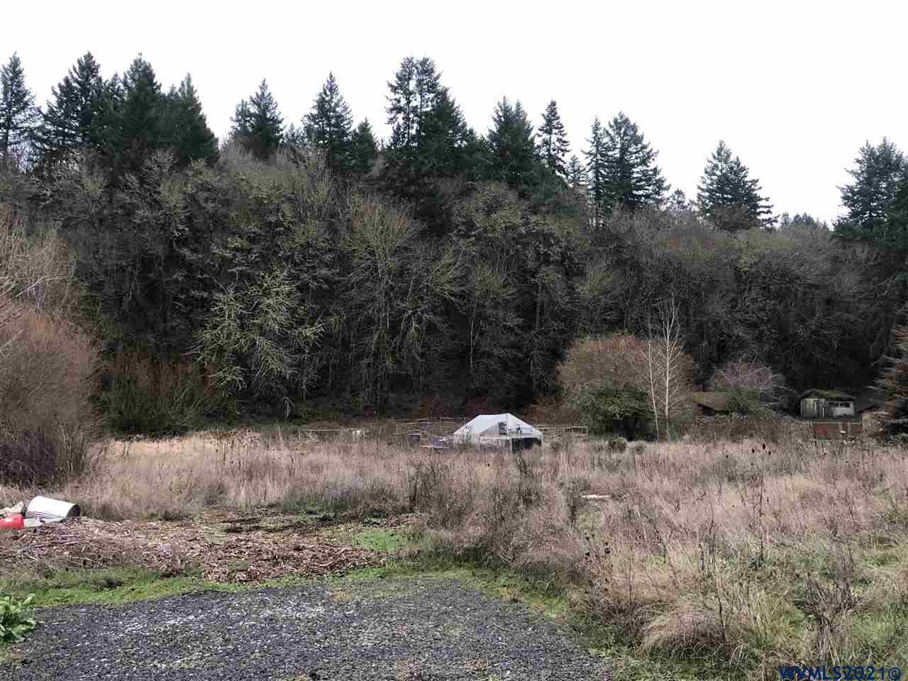4898 Riverdale Road South Salem, OR 97302 - Photo 1 of 1 a backyard of a house with lots of green space