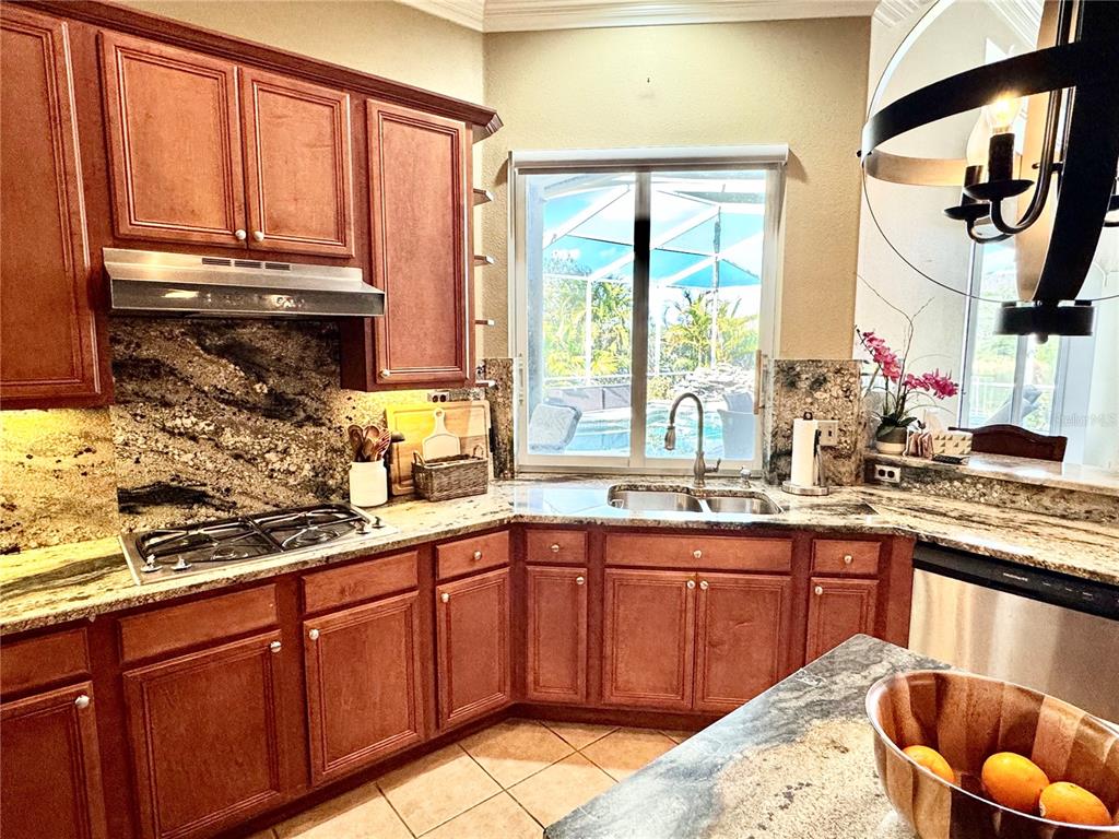 19135 Timber Reach Road Tampa, FL 33647 - Photo 25 of 56 Gallery Image 25