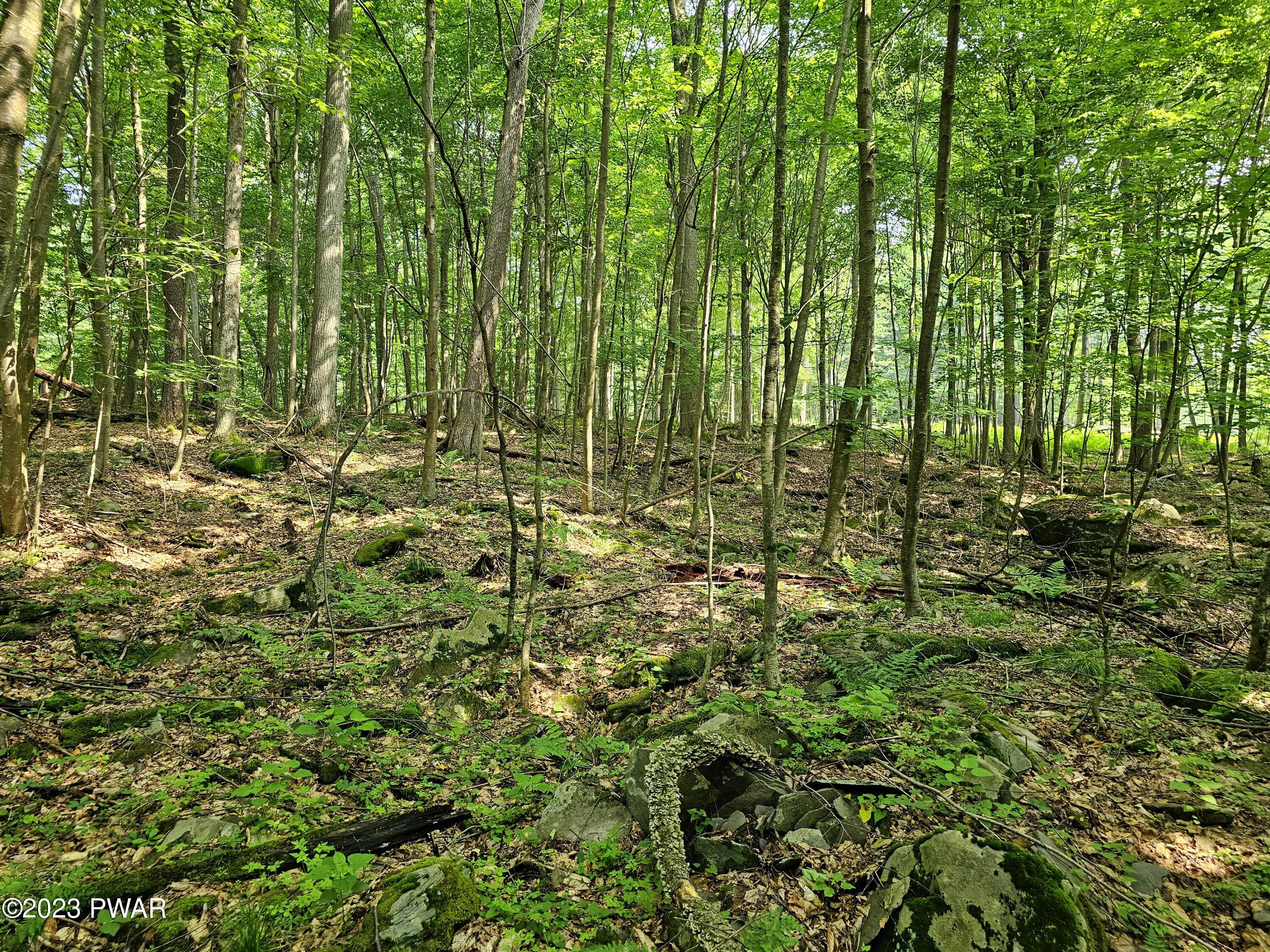 Lot 61 Rock Run Road Damascus, PA 18415 - Photo 12 of 56