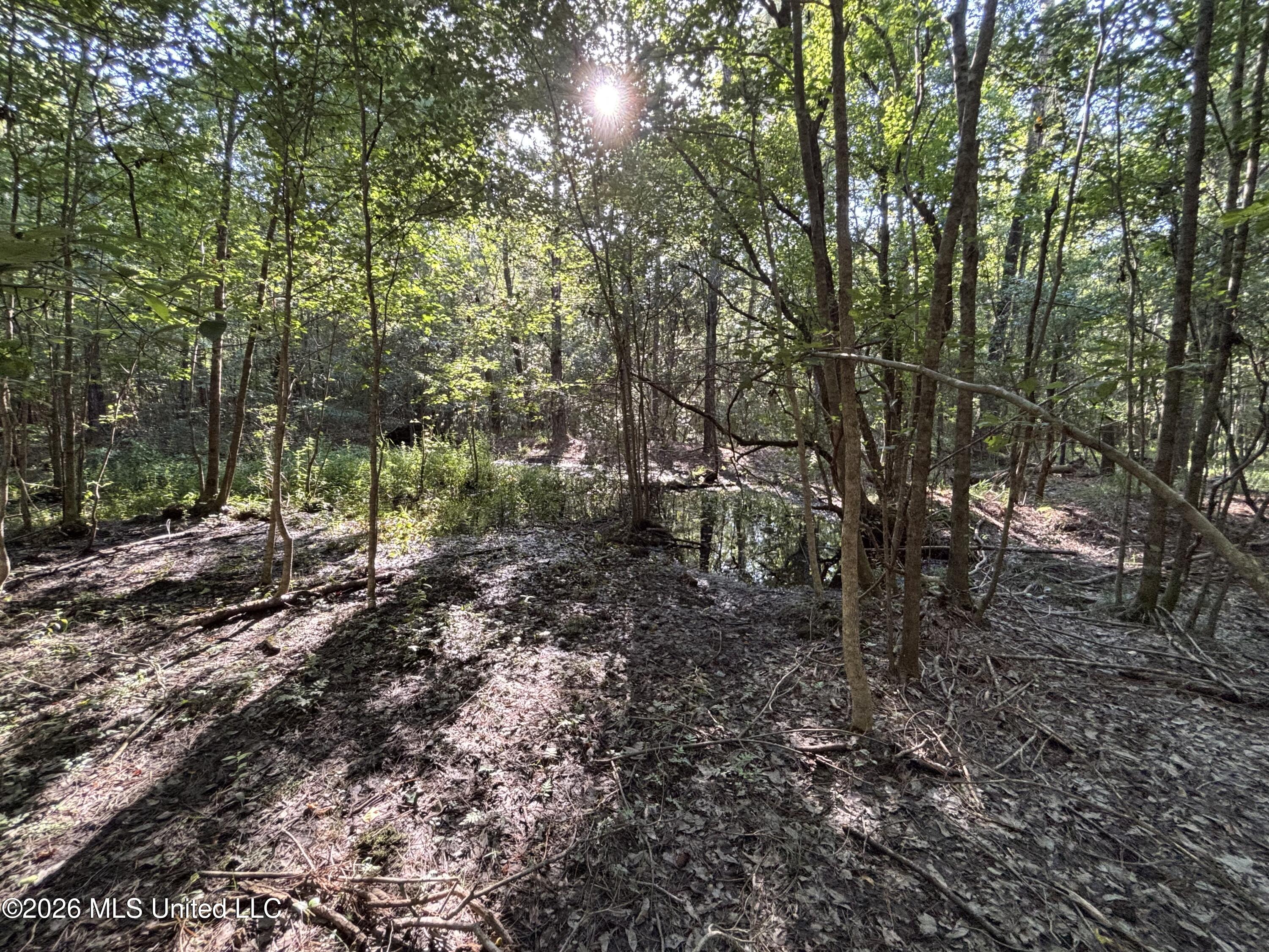 Clark Lane Gulfport, MS 39503 - Photo 21 of 26 IMG_2233