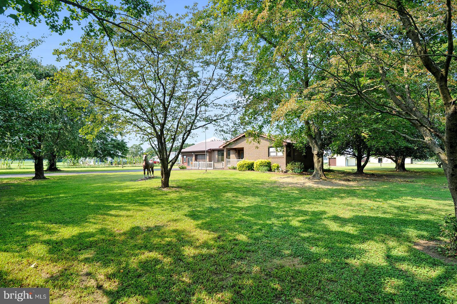 597 Jarrells Road Felton, DE 19943 - Photo 25 of 25 Gallery Image 25