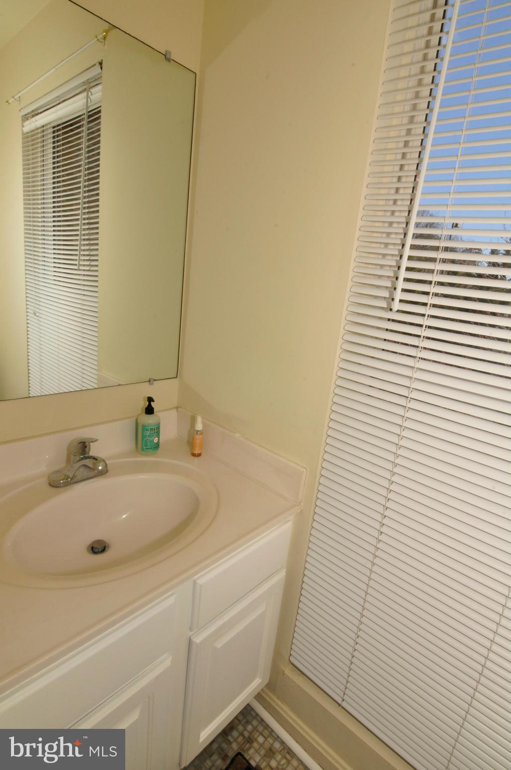 12095 Edgemere Circle Reston, VA 20190 - Photo 20 of 28 a bathroom with a sink and a bathtub