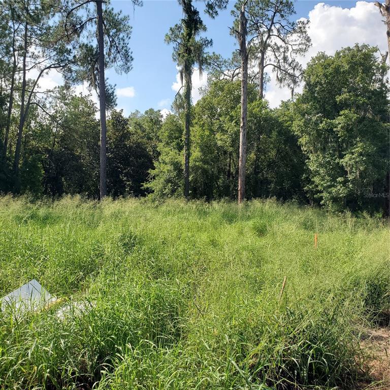 Pollard Road Winter Haven, FL 33884 - Photo 7 of 17 a view of garden with trees