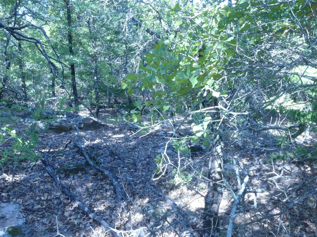 1746 Dog Kennel Road Sunset, TX 76270 - Photo 26 of 31 Gallery Image 26
