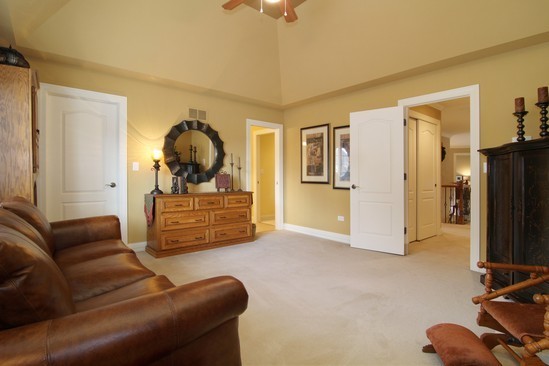 3012 Seiler Drive Naperville, IL 60565 - Photo 18 of 25