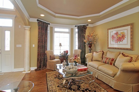 3012 Seiler Drive Naperville, IL 60565 - Photo 6 of 25