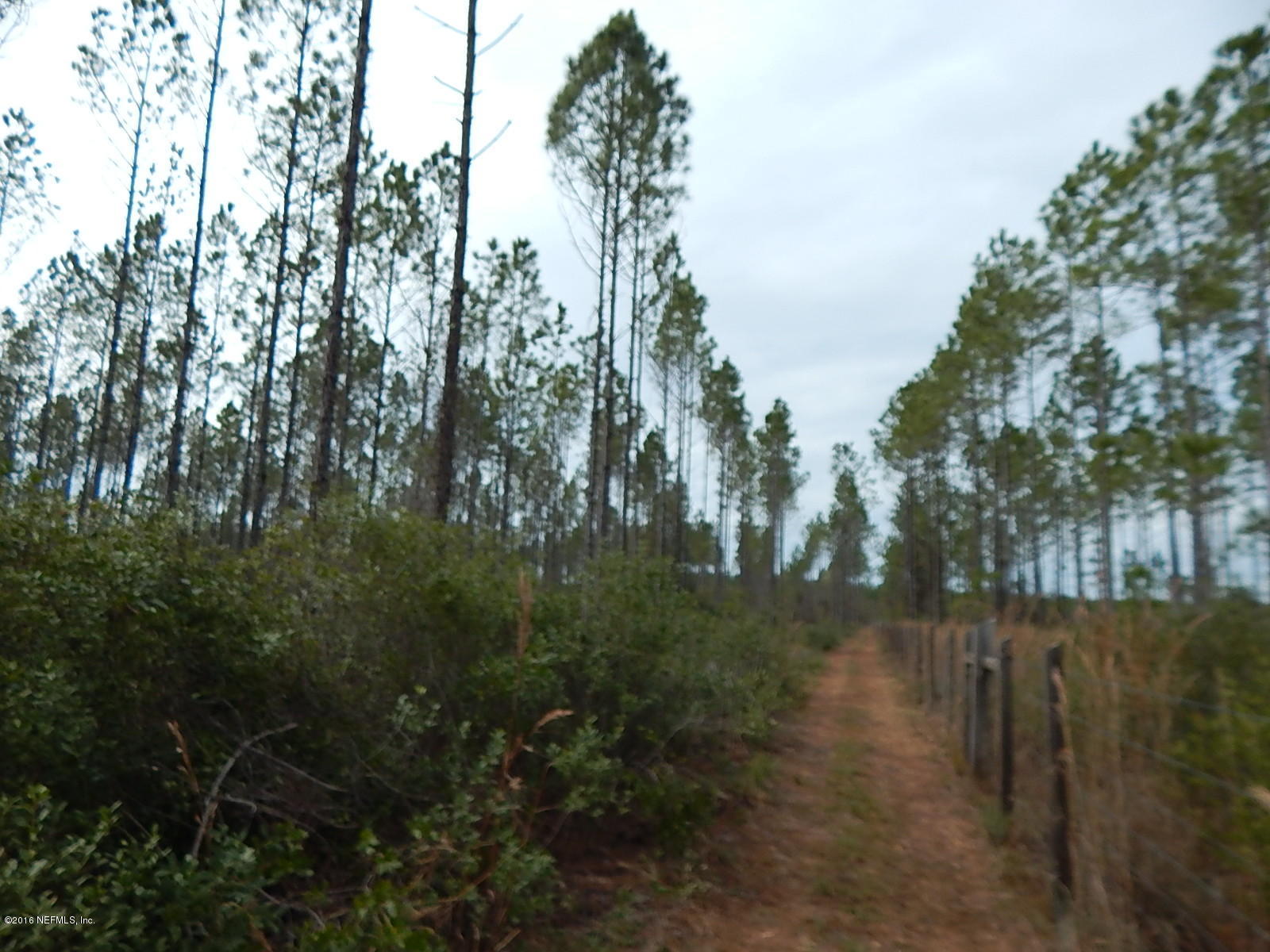 387 Higdon Road Jacksonville, FL 32234 - Photo 28 of 33 Fully Fenced Acreage