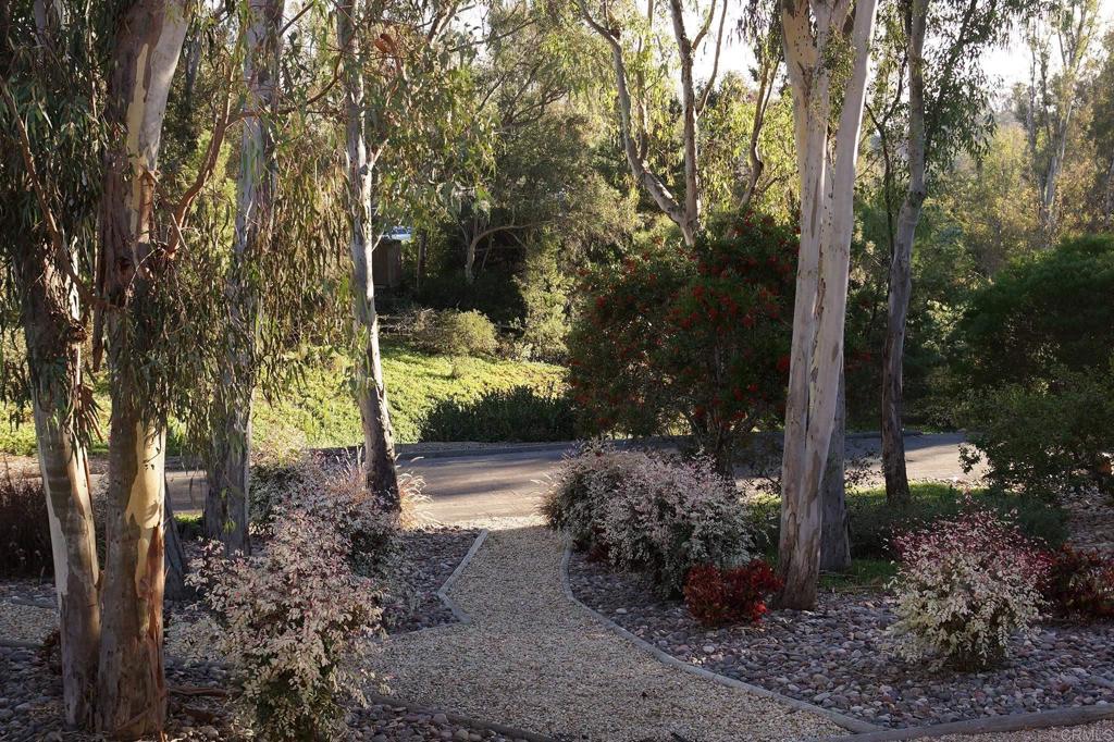 5443 Calzada Del Bosque Rancho Santa Fe, CA 92067 - Photo 50 of 56 a view of a park with large trees