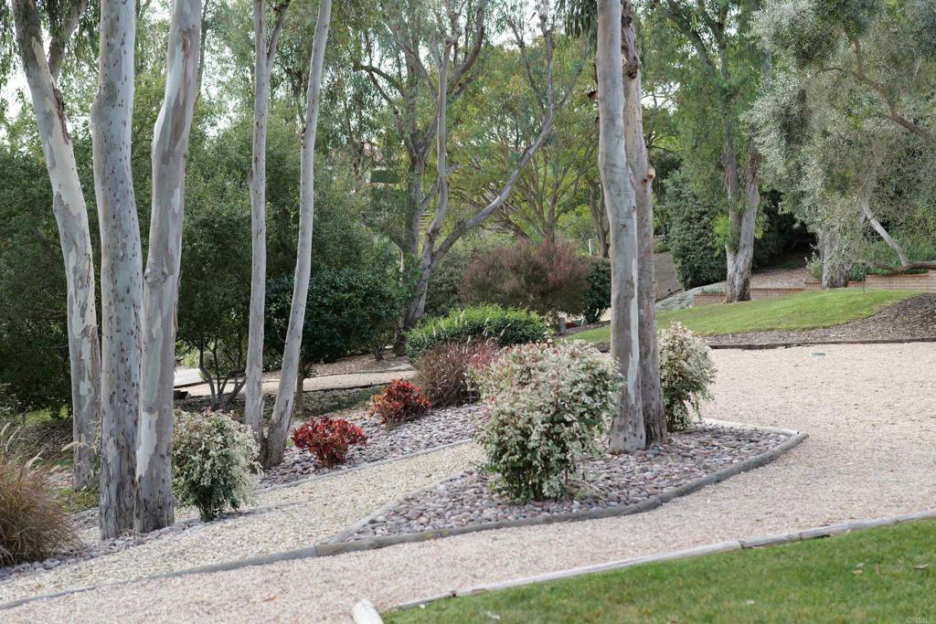 5443 Calzada Del Bosque Rancho Santa Fe, CA 92067 - Photo 52 of 56