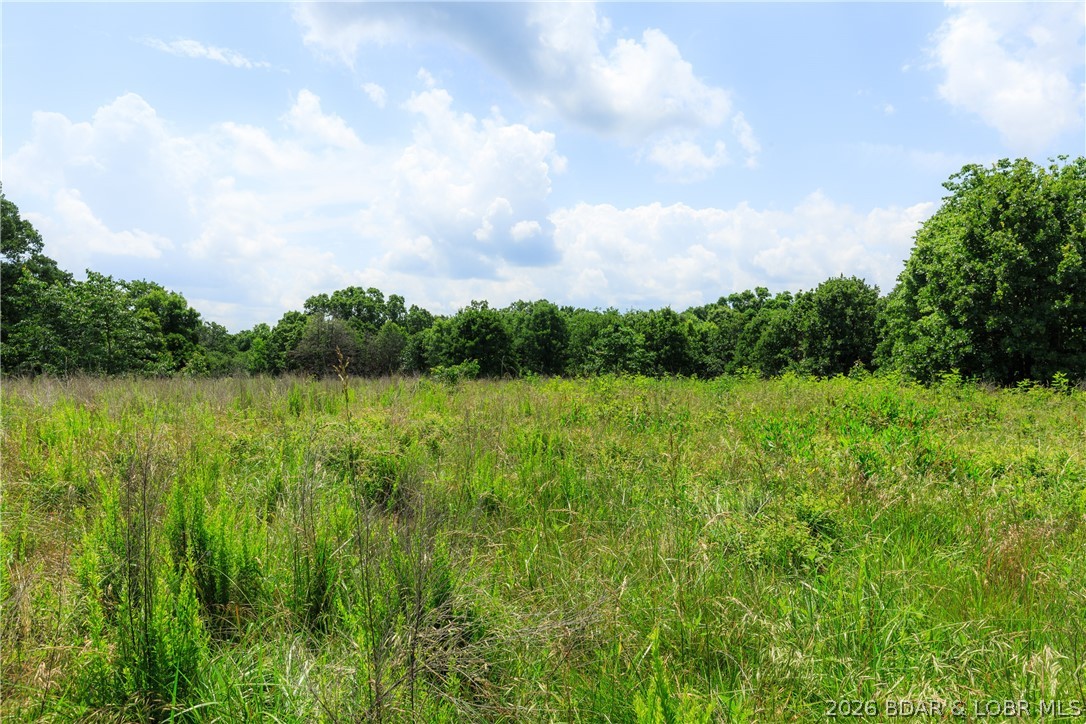 400 Hidden Acres Road Camdenton, MO 65020 - Photo 2 of 39