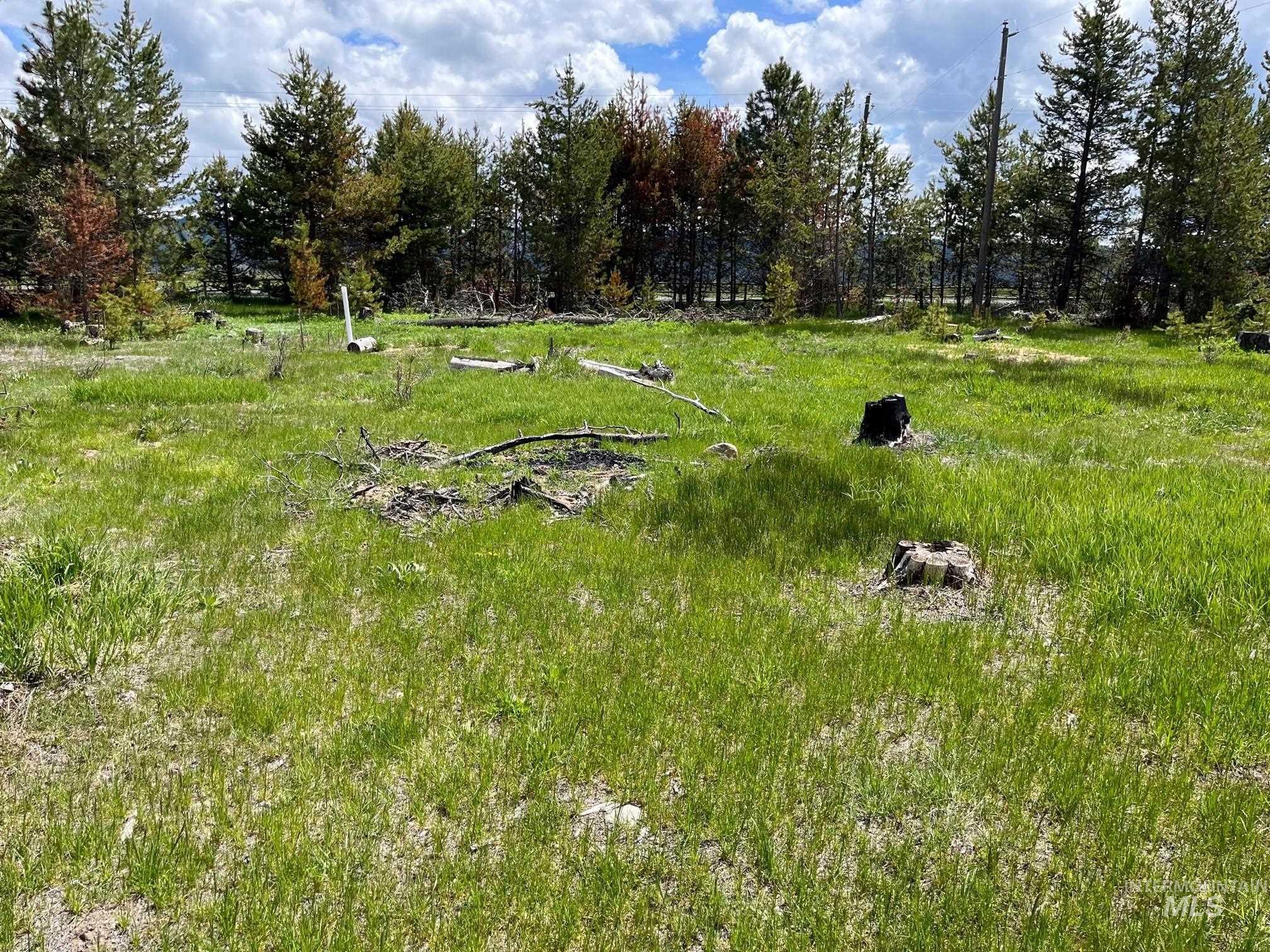 13480-tbd Gunsmoke Road McCall, ID 83638 - Photo 4 of 10