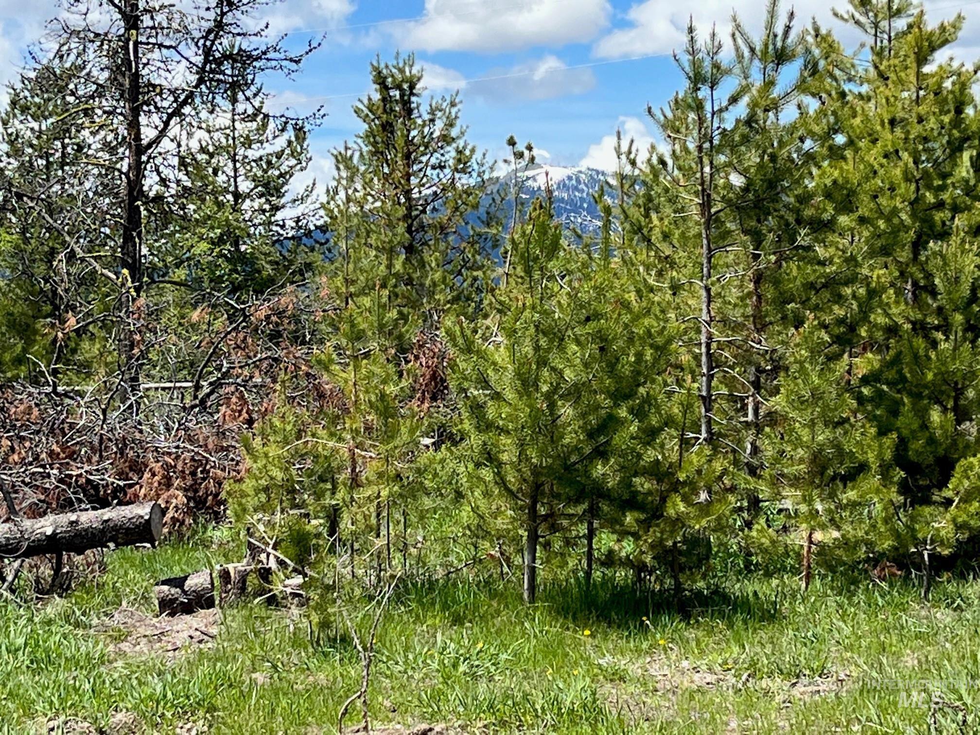 13480-tbd Gunsmoke Road McCall, ID 83638 - Photo 5 of 10