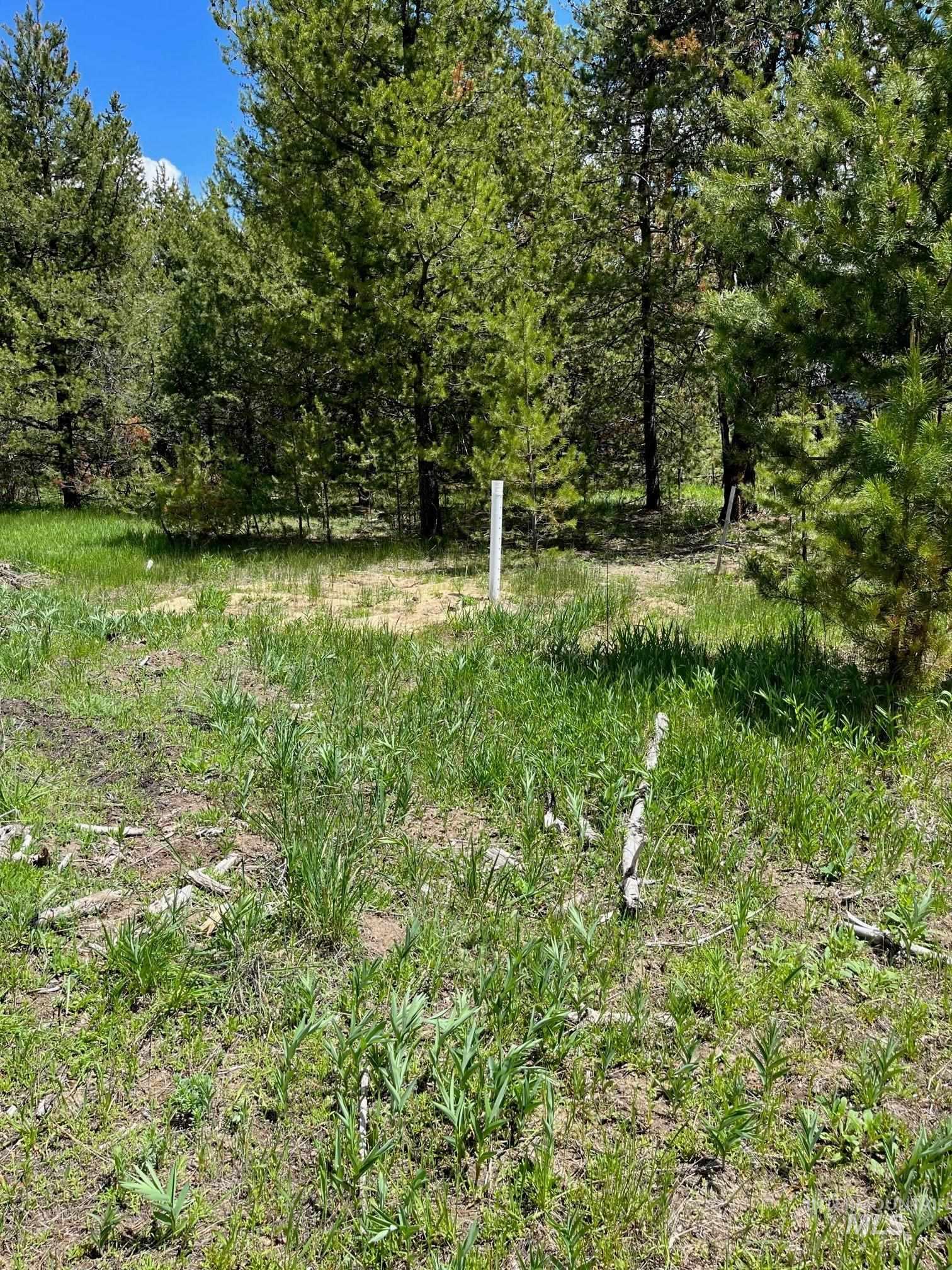 13480-tbd Gunsmoke Road McCall, ID 83638 - Photo 6 of 10