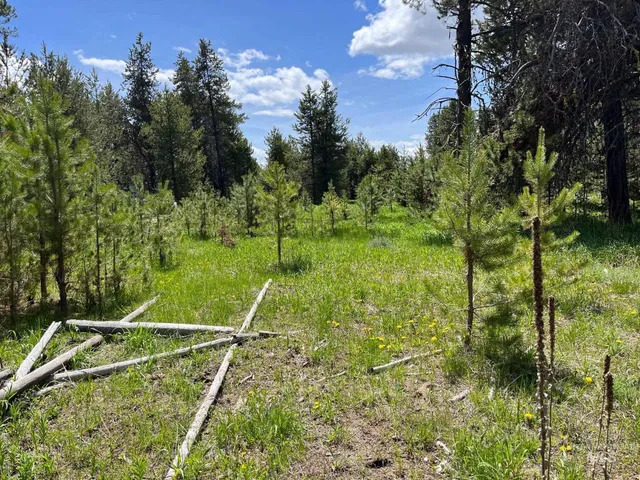 $699,000 | 13480-tbd Gunsmoke Road, McCall, ID 83638