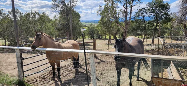 $550,000 | 329 Payne Lane, Ignacio, CO 81137