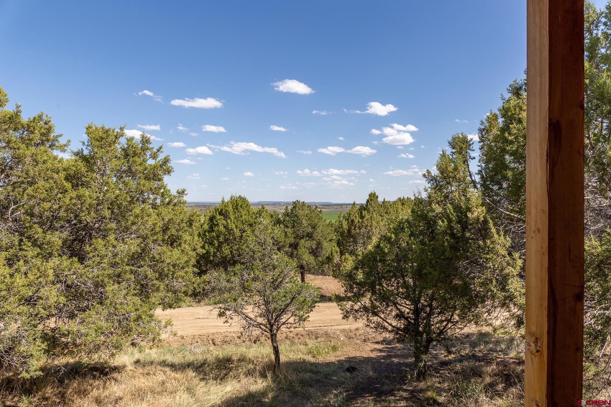 329 Payne Lane Ignacio, CO 81137 - Photo 27 of 45 a view of a yard with a tree
