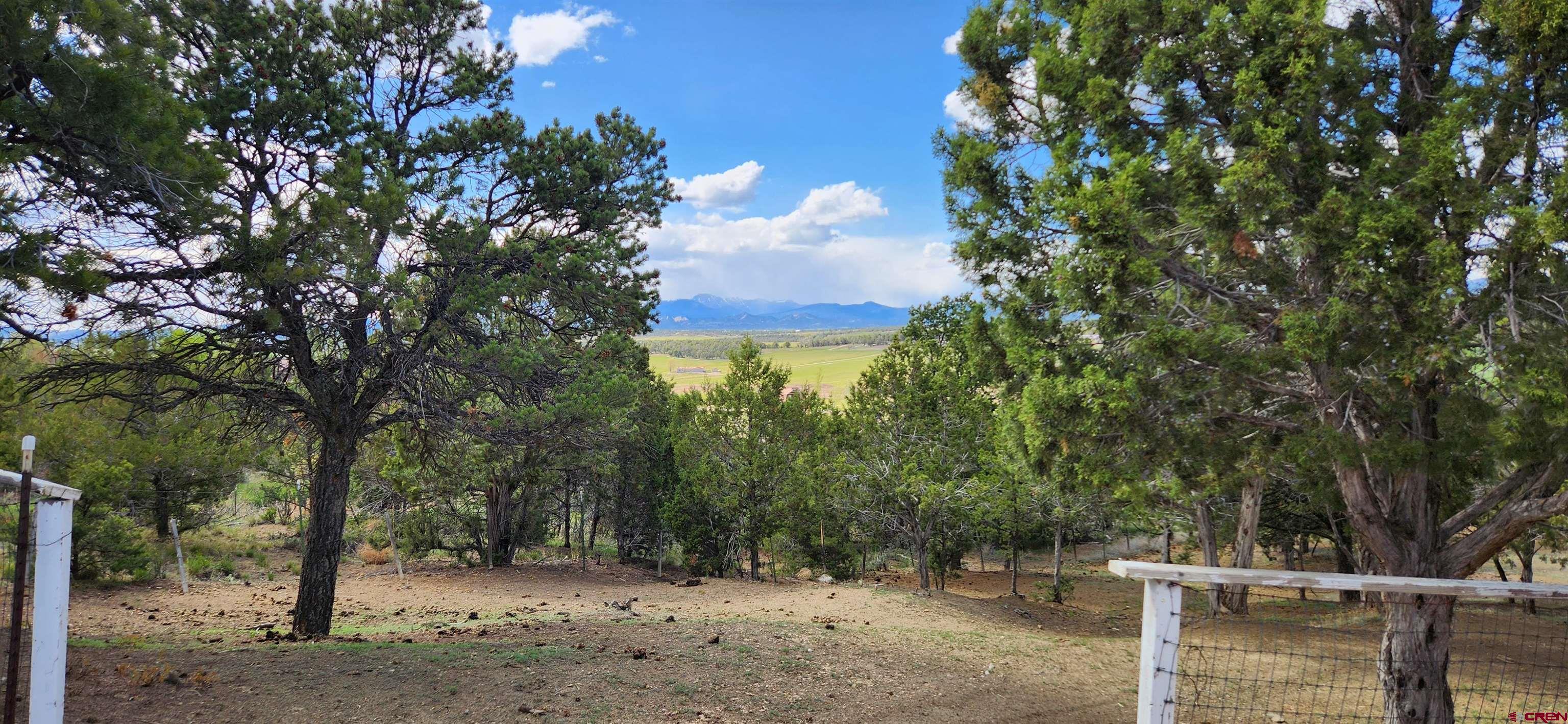 329 Payne Lane Ignacio, CO 81137 - Photo 36 of 45 a view of a yard with plants and trees