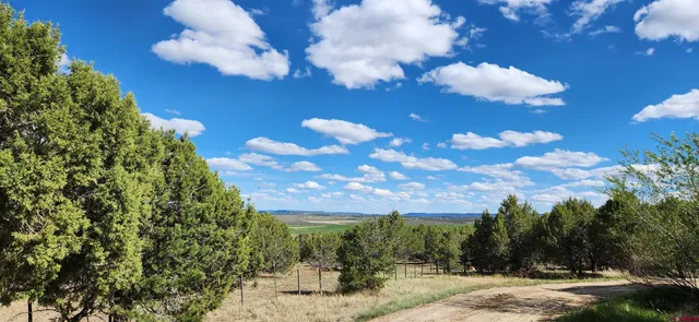 $550,000 | 329 Payne Lane, Ignacio, CO 81137