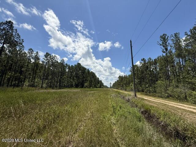 Elmer Hamilton Road Road Moss Point, MS 39562 - Photo 25 of 27 IMG_4855
