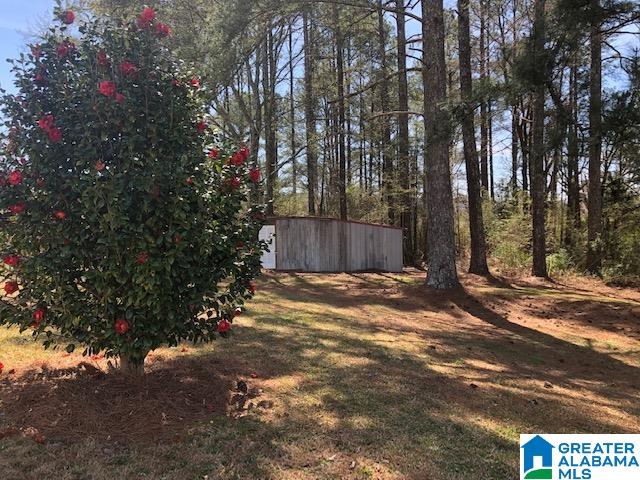 88 Highland Avenue Oneonta, AL 35121 - Photo 14 of 16
